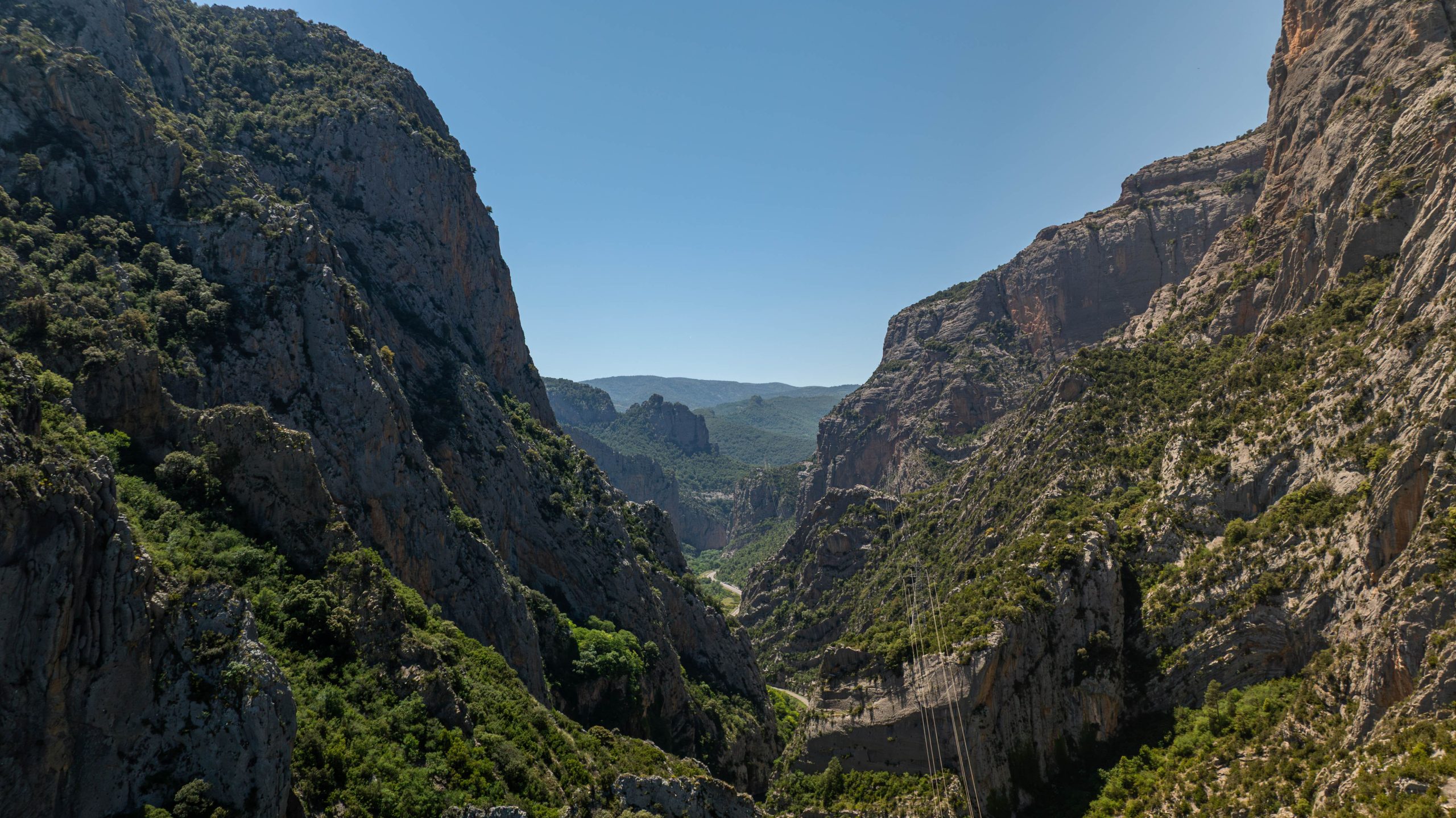 collegats bou mort pobla