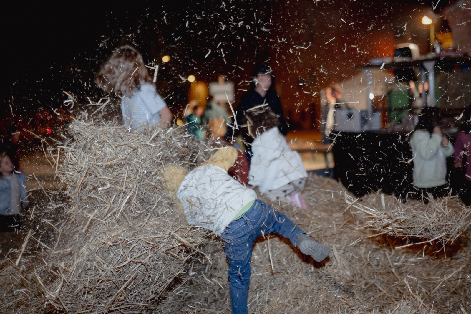 Vianda Pobla de Segur